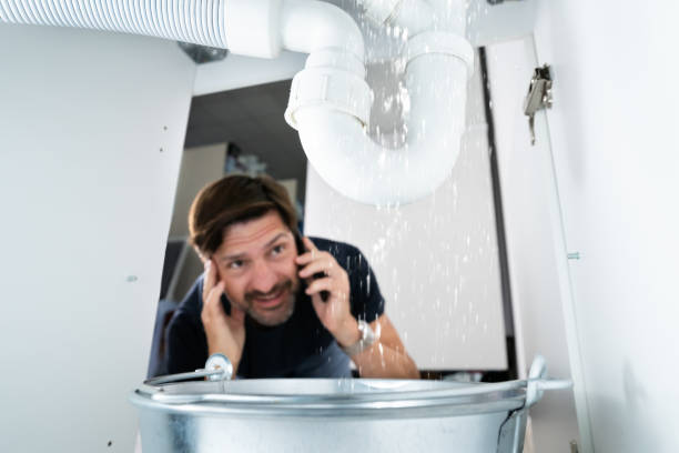 Best Emergency Plumbing Repair  in River Rouge, MI