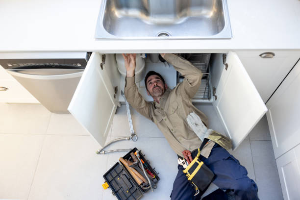 Best Clogged Drain Plumber  in River Rouge, MI