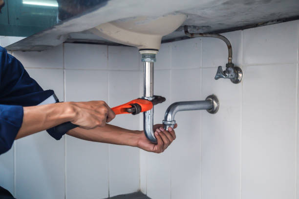 Best Commercial Plumbing Services  in River Rouge, MI