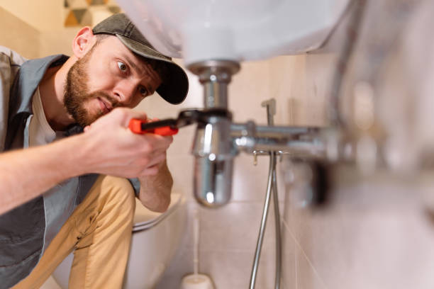 Best Toilet Repair Services  in River Rouge, MI