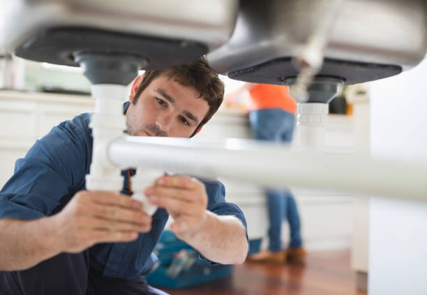  River Rouge, MI Plumbing Pros