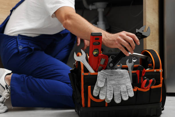 Best Affordable Plumber Near Me  in River Rouge, MI